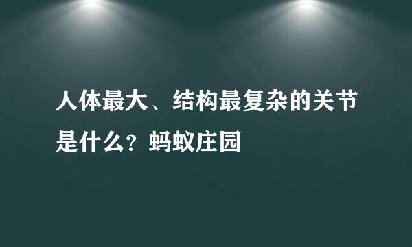 人体最大、结构最复杂的关节是什么？蚂蚁庄园