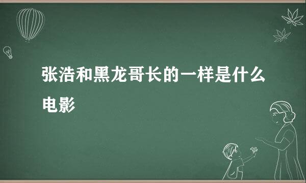 张浩和黑龙哥长的一样是什么电影