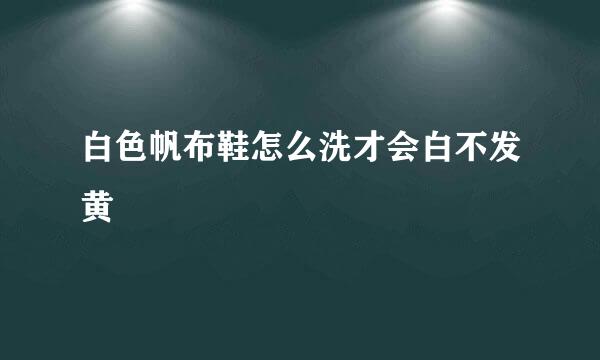 白色帆布鞋怎么洗才会白不发黄