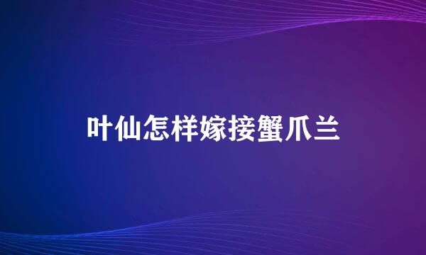 叶仙怎样嫁接蟹爪兰