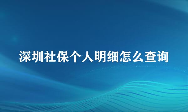 深圳社保个人明细怎么查询