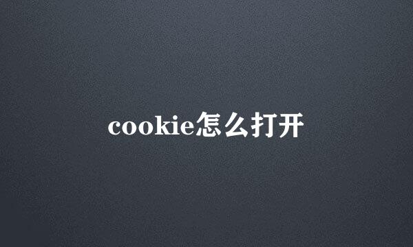 cookie怎么打开