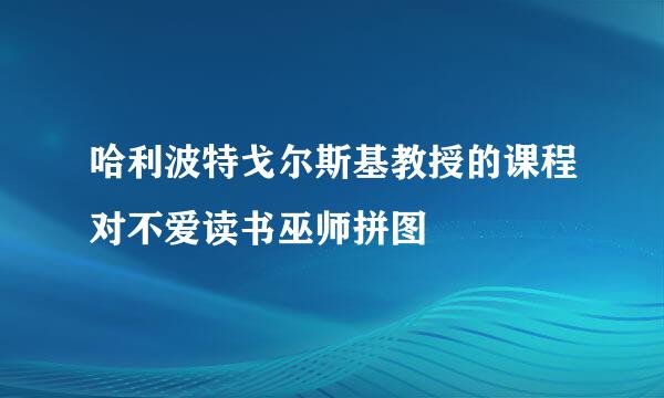 哈利波特戈尔斯基教授的课程对不爱读书巫师拼图