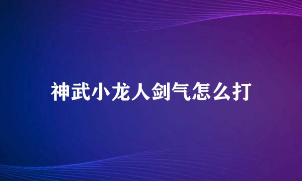 神武小龙人剑气怎么打