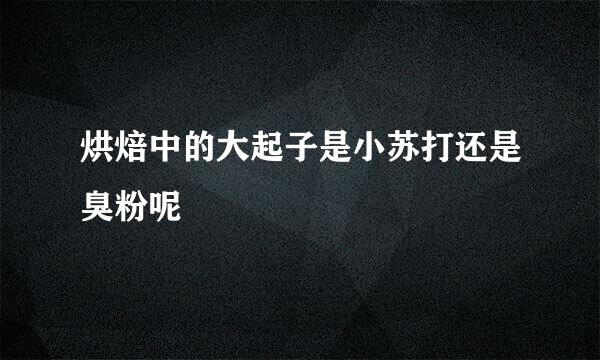 烘焙中的大起子是小苏打还是臭粉呢