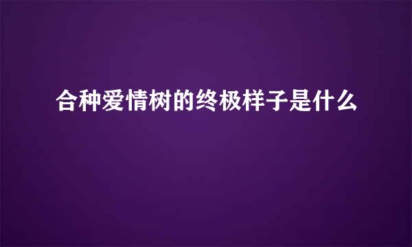 合种爱情树的终极样子是什么