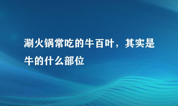 涮火锅常吃的牛百叶，其实是牛的什么部位