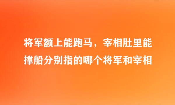 将军额上能跑马，宰相肚里能撑船分别指的哪个将军和宰相