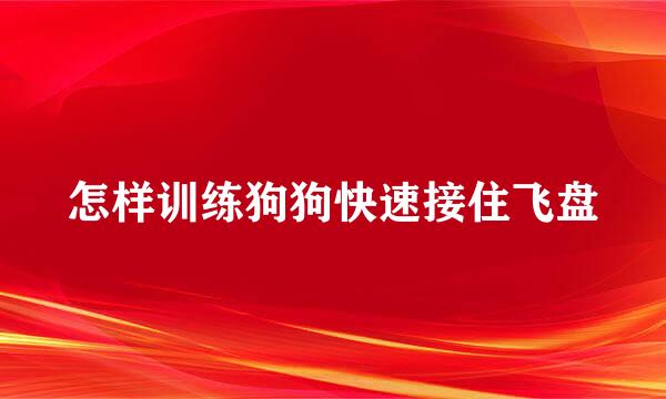 怎样训练狗狗快速接住飞盘