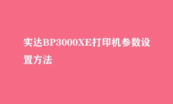 实达BP3000XE打印机参数设置方法