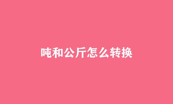 吨和公斤怎么转换