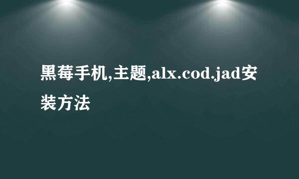 黑莓手机,主题,alx.cod.jad安装方法