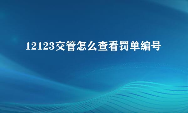 12123交管怎么查看罚单编号