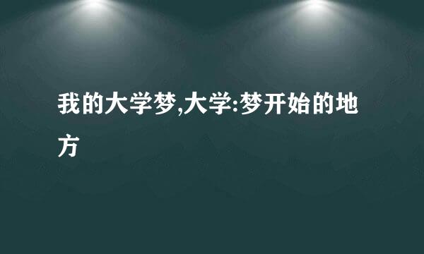 我的大学梦,大学:梦开始的地方