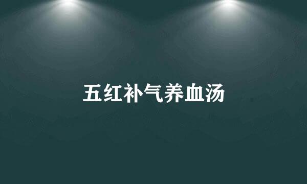 五红补气养血汤