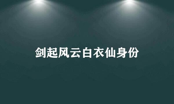 剑起风云白衣仙身份