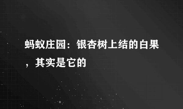 蚂蚁庄园：银杏树上结的白果，其实是它的