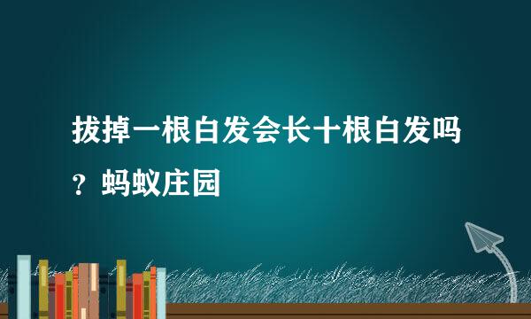 拔掉一根白发会长十根白发吗？蚂蚁庄园