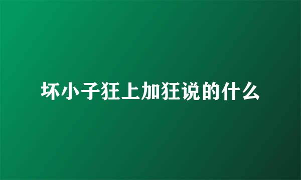 坏小子狂上加狂说的什么