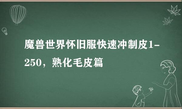 魔兽世界怀旧服快速冲制皮1-250，熟化毛皮篇