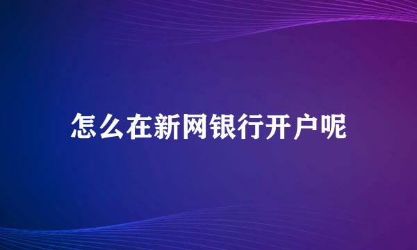 怎么在新网银行开户呢