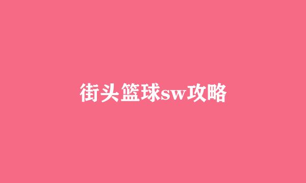 街头篮球sw攻略