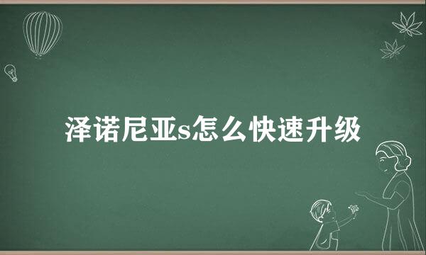 泽诺尼亚s怎么快速升级