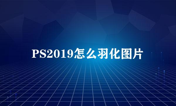 PS2019怎么羽化图片