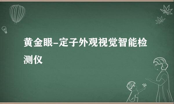 黄金眼-定子外观视觉智能检测仪