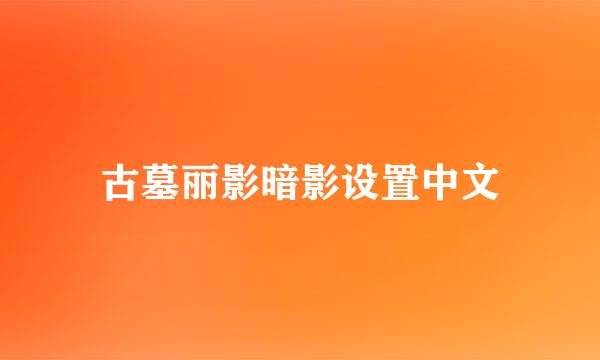 古墓丽影暗影设置中文