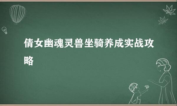 倩女幽魂灵兽坐骑养成实战攻略