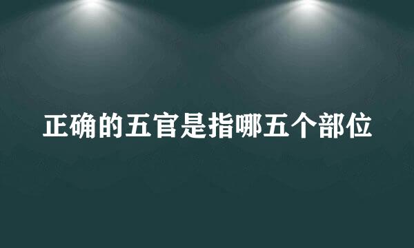 正确的五官是指哪五个部位