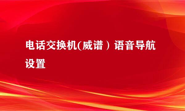 电话交换机(威谱）语音导航设置