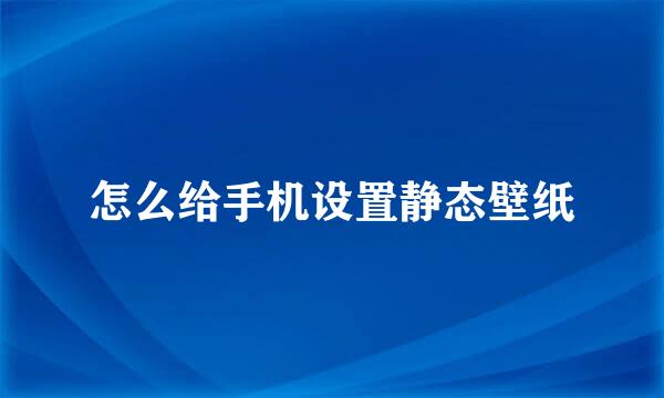 怎么给手机设置静态壁纸