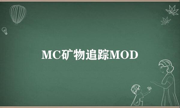 MC矿物追踪MOD