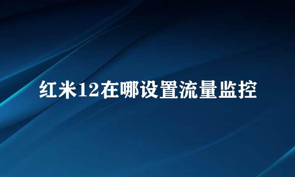 红米12在哪设置流量监控