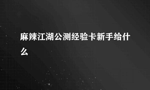 麻辣江湖公测经验卡新手给什么