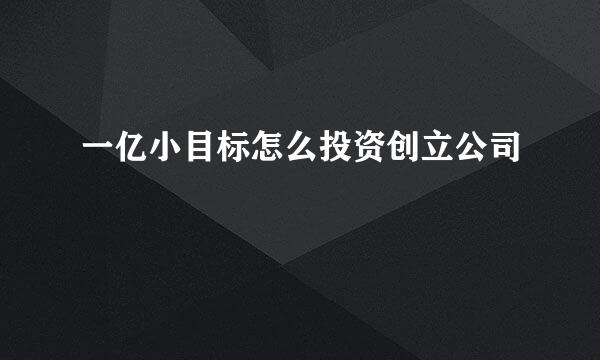 一亿小目标怎么投资创立公司