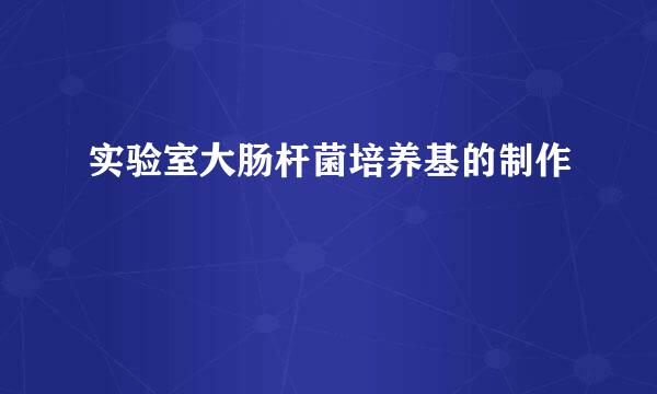 实验室大肠杆菌培养基的制作