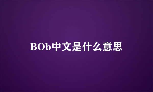 BOb中文是什么意思