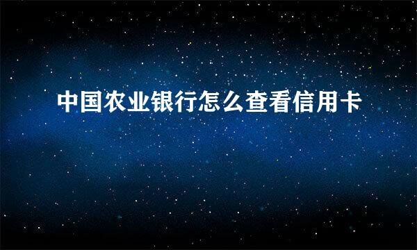 中国农业银行怎么查看信用卡