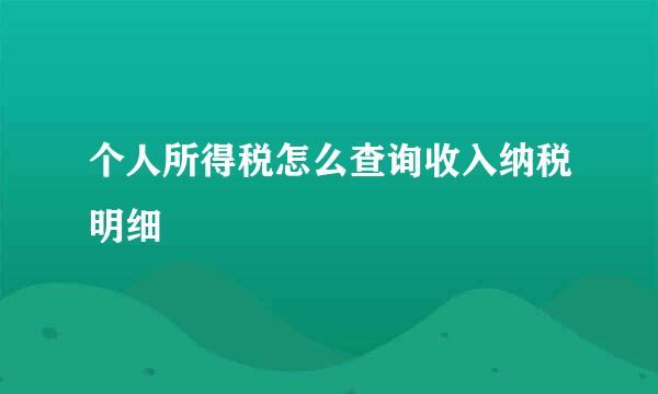 个人所得税怎么查询收入纳税明细