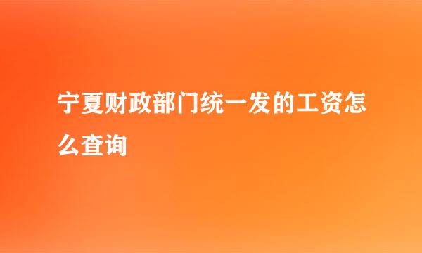 宁夏财政部门统一发的工资怎么查询