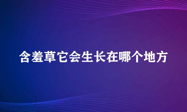 含羞草它会生长在哪个地方