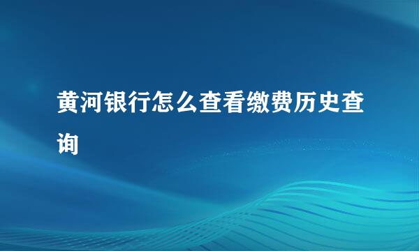 黄河银行怎么查看缴费历史查询