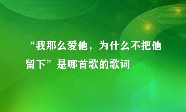 “我那么爱他，为什么不把他留下”是哪首歌的歌词