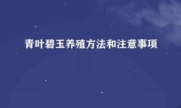 青叶碧玉养殖方法和注意事项