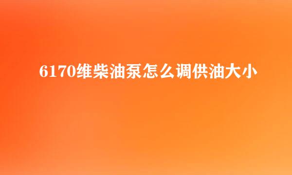 6170维柴油泵怎么调供油大小