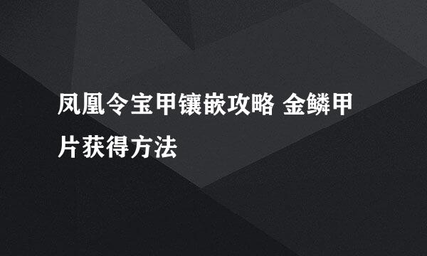 凤凰令宝甲镶嵌攻略 金鳞甲片获得方法