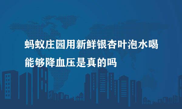 蚂蚁庄园用新鲜银杏叶泡水喝能够降血压是真的吗